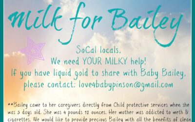 Milk for Bailey