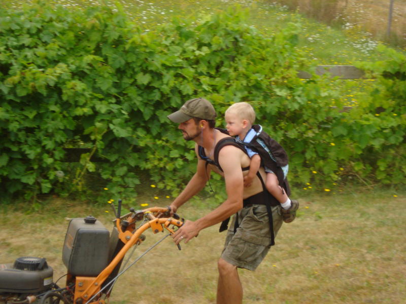 PAXbaby Beco Butterfly II