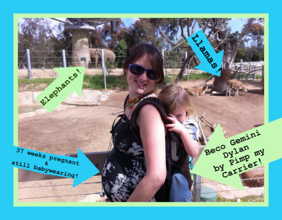 PAXbaby babywearing zoo custom Gemini Beco