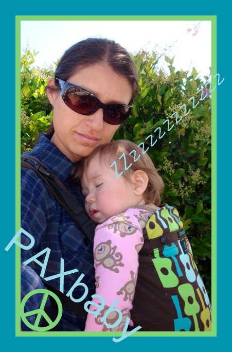 PAXbaby Babywearing Beco Butterfly Dylan custom